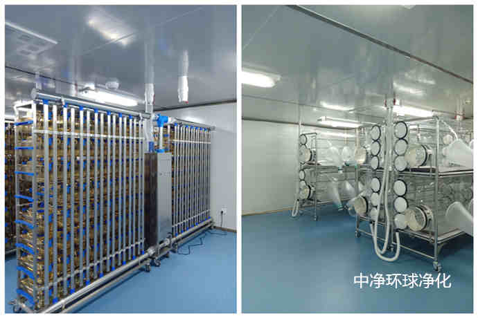 動(dòng)物實(shí)驗(yàn)中心建設(shè)規(guī)劃布置