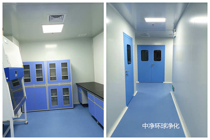 潔凈車間廠房 潔凈車間廠房